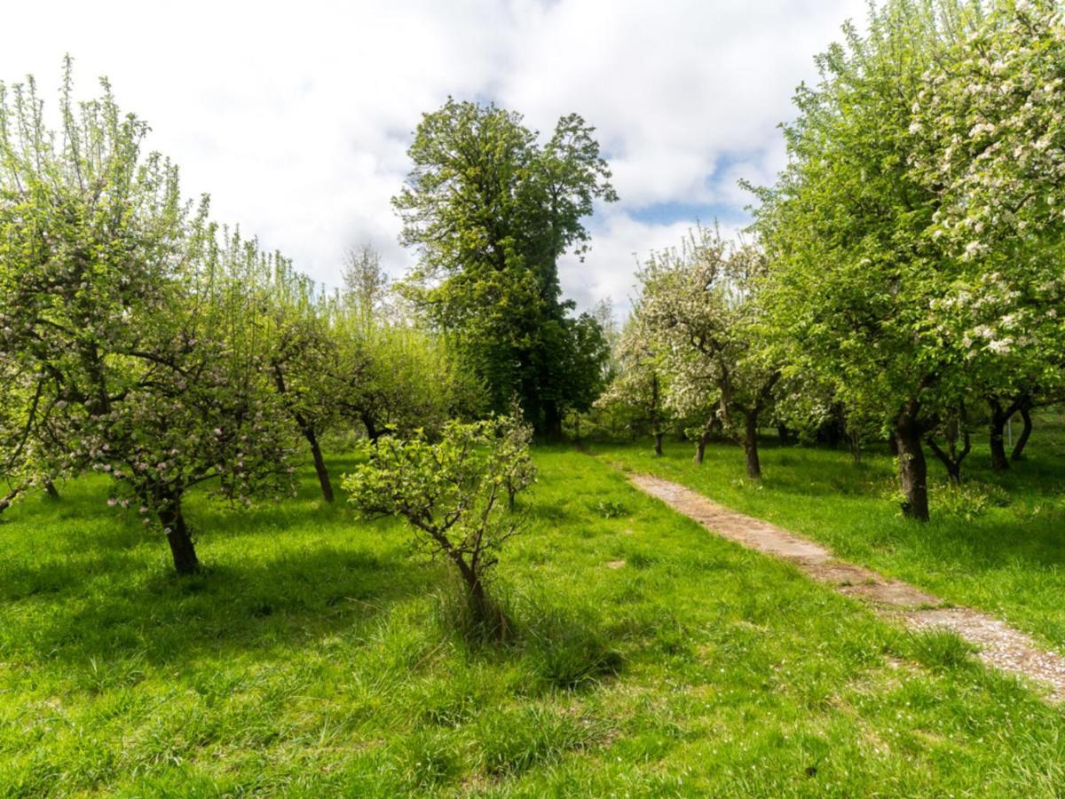 Gartenbungalow 2 Rechte Seite Klein Pravtshagen Экстерьер фото